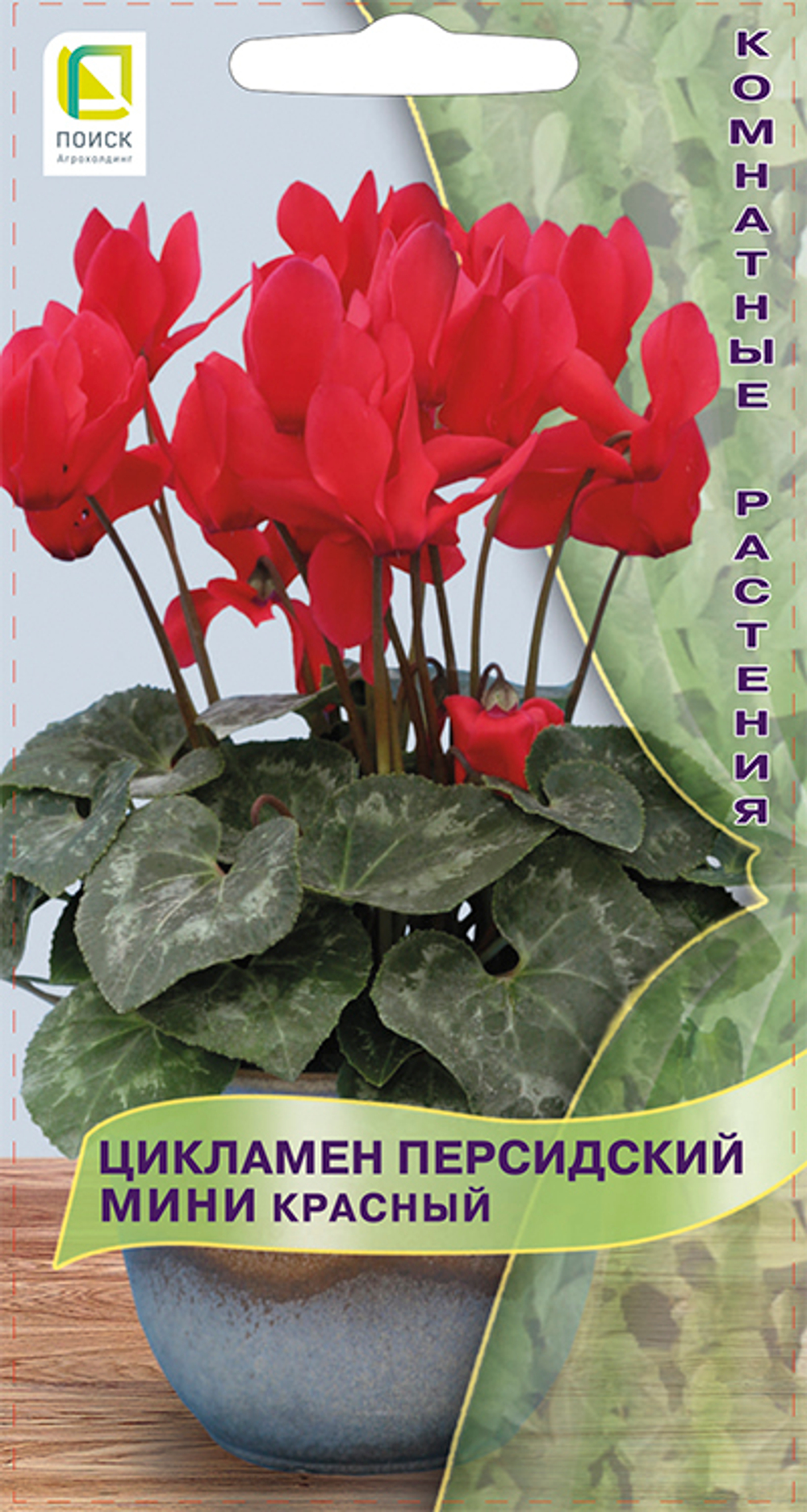 Цикламен персидский мини Красный