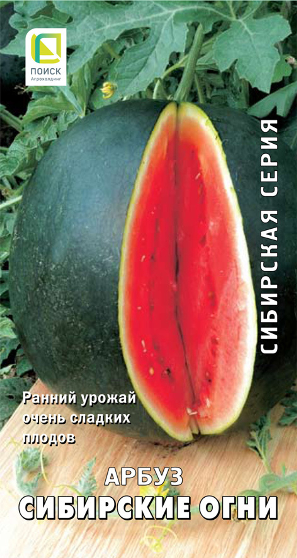 Арбуз Сибирские огни