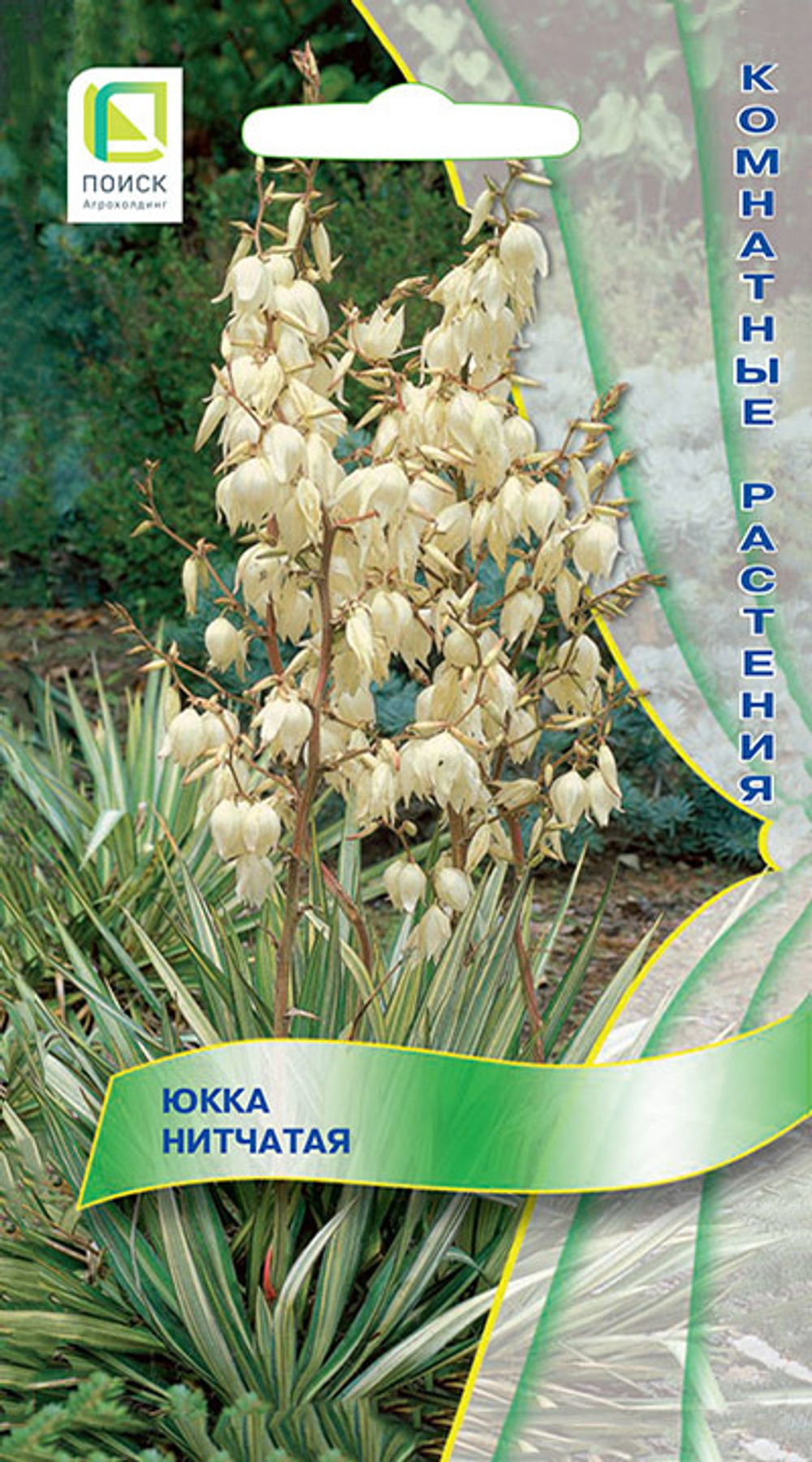 Юкка нитчатая