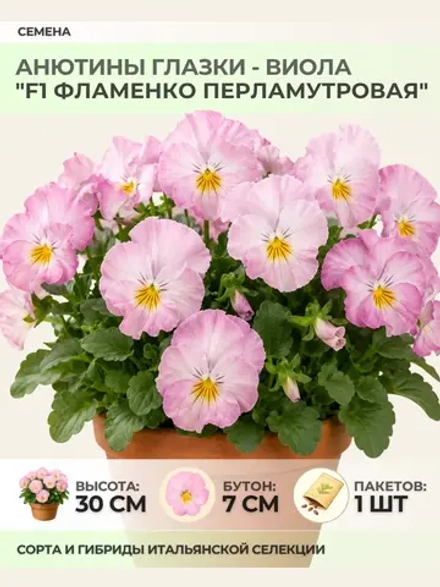 Семена Анютины глазки "F1 Фламенко Перламутровая" - 1 пакет