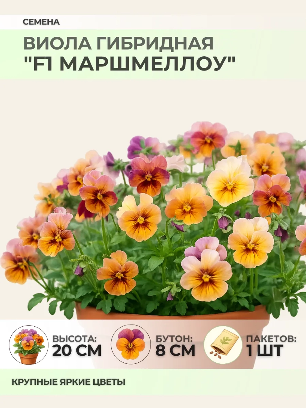 Семена Виолы гибридной "F1 Маршмеллоу" - 1 пакет