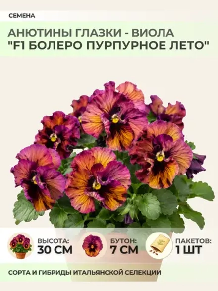 Семена Анютины глазки "F1 Болеро Пурпурное лето" - 1 пакет