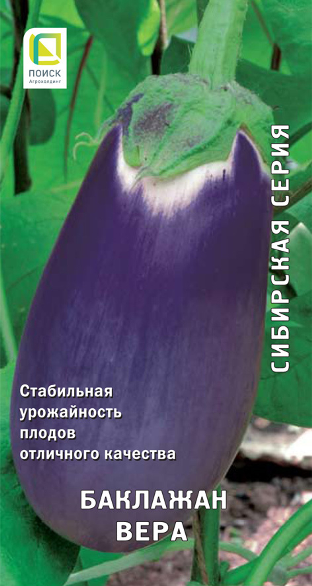 Баклажан Вера