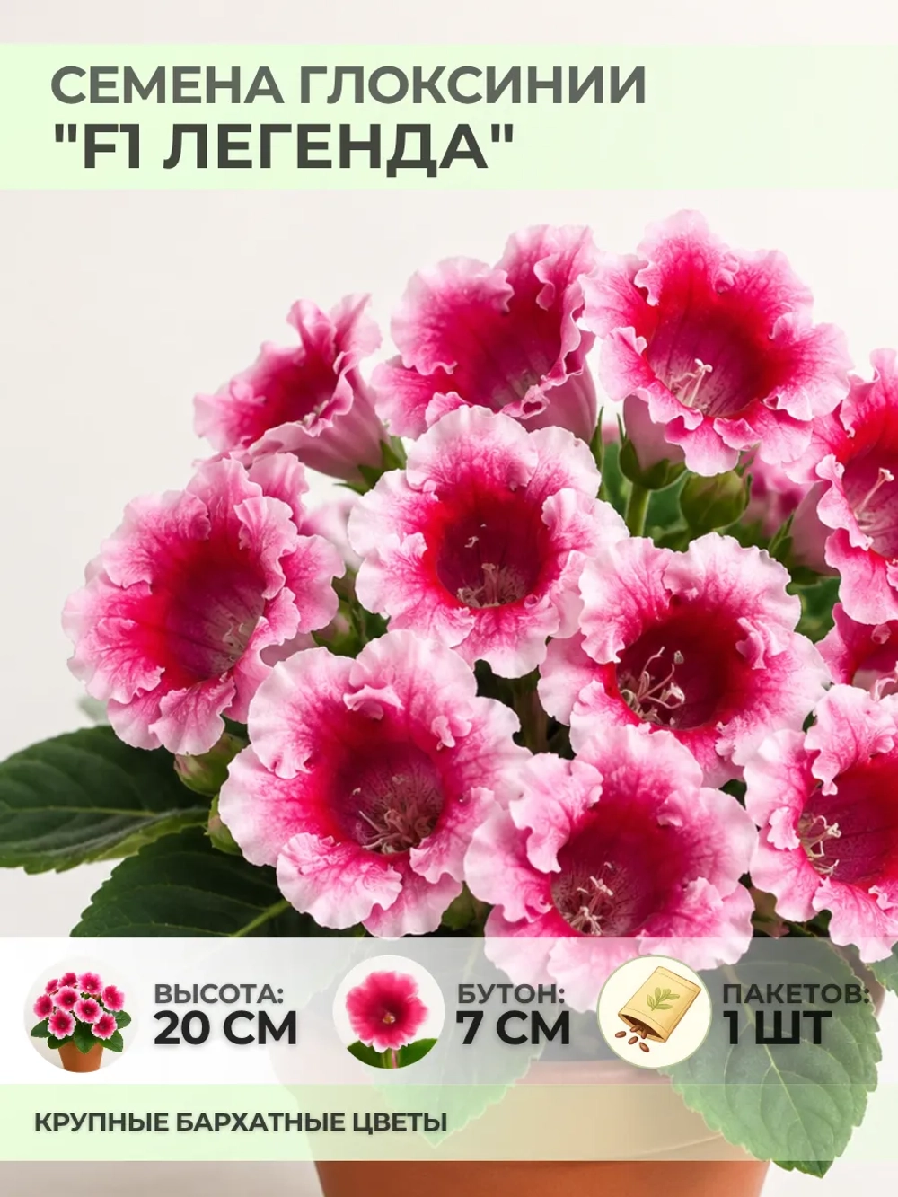Семена Глоксинии прекрасной "F1 Легенда" - 1 пакет