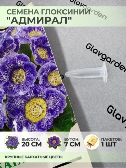 Семена Глоксинии прекрасной "Адмирал" - 1 пакет