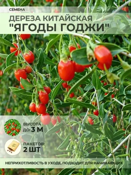 Семена Дереза Китайская "Ягоды Годжи" - 2 пакета