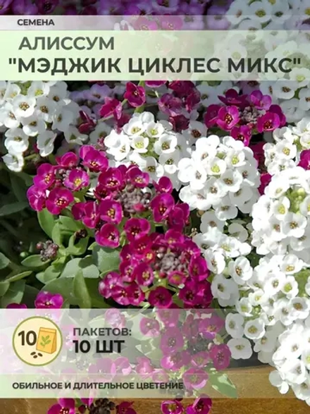 Семена Алиссум "Мэджик Циклес микс" - 10 пакетов