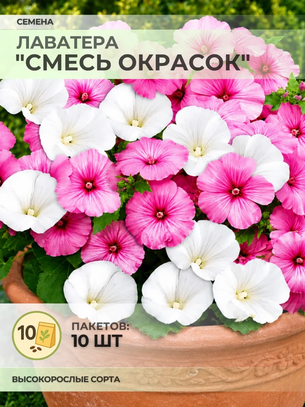 Семена Лаватера "Смесь окрасок" - 10 пакетов