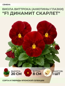 Семена Виолы Виттрока "F1 Динамит Скарлет" - 1 пакет
