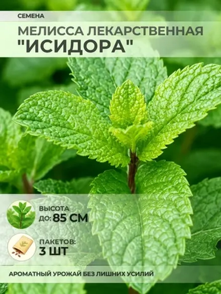 Семена Мелисса лекарственная "Исидора" - 3 пакета