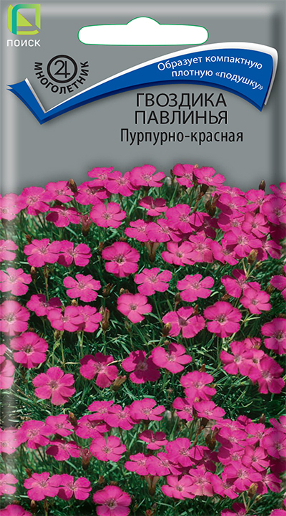 Гвоздика Павлинья Пурпурно-красная