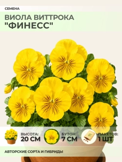 Семена Виолы Виттрока "Финесс" - 1 пакет