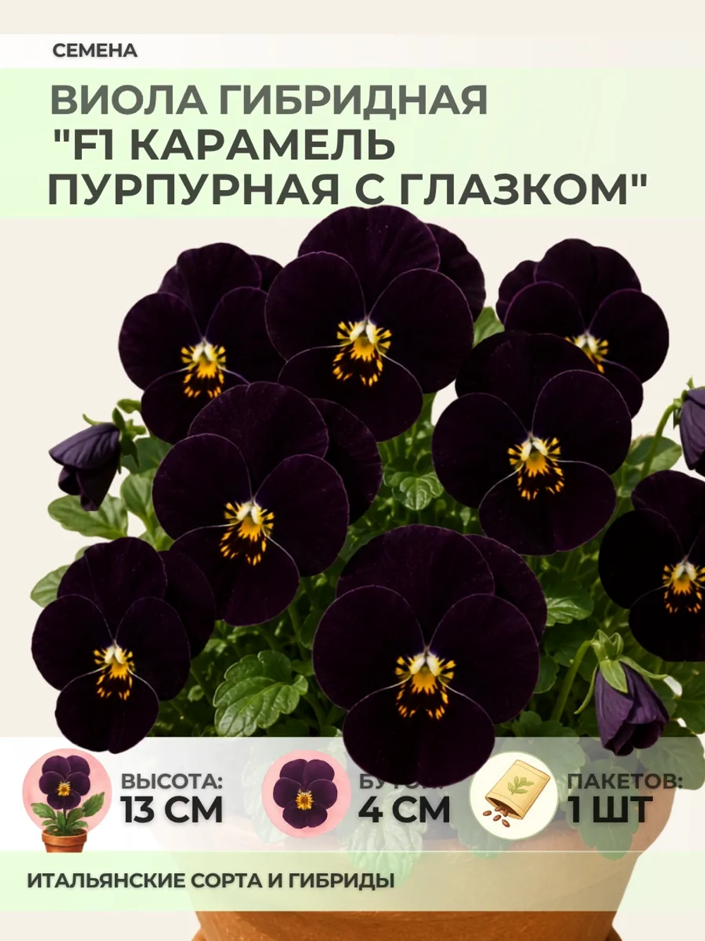 Семена Виолы "F1 Карамель Пурпурная с глазком" - 1 пакет