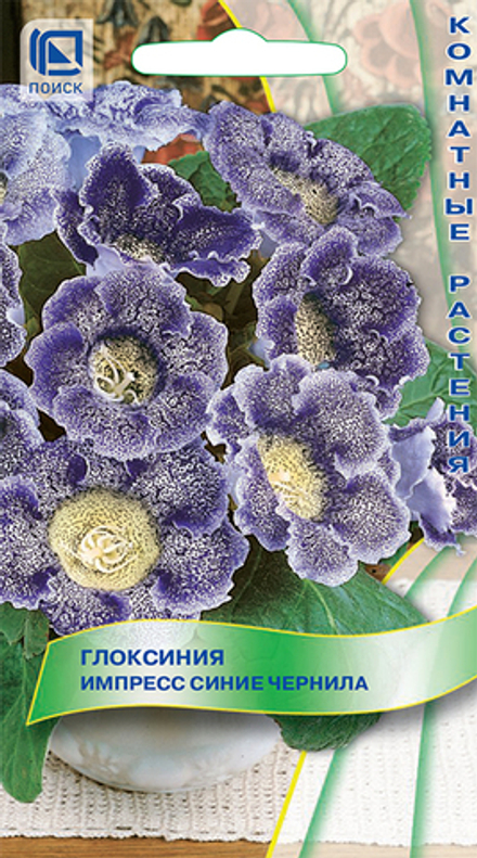 Глоксиния Импресс "Синие чернила"