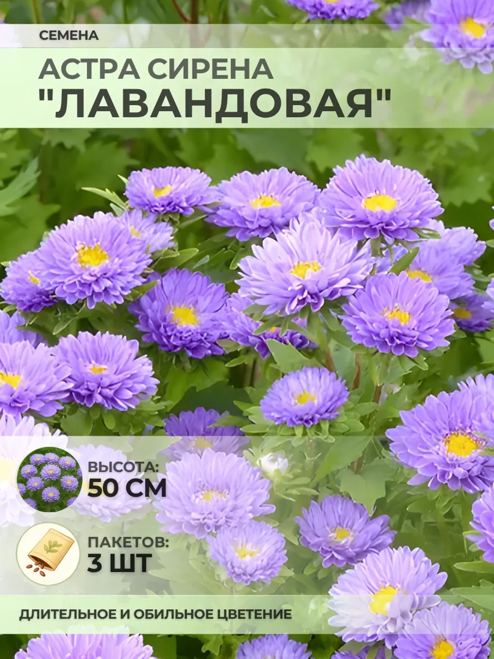 Семена Астры "Сирена "Лавандовая" - 3 пакета
