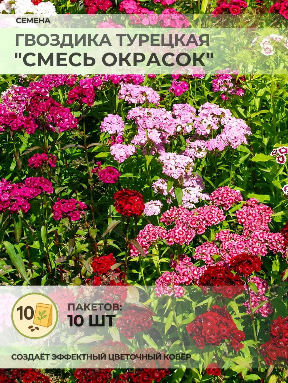 Семена Гвоздика Турецкая "Смесь окрасок" - 10 пакетов