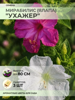 Семена Мирабилис (Ялапа) "Ухажёр" - 3 пакета