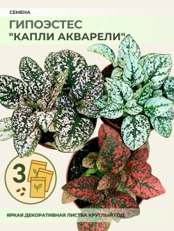 Семена Гипоэстеса "Капли акварели" - 3 пакета