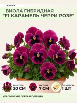 Семена Виолы гибридной "F1 Карамель Черри Розе" - 1 пакет