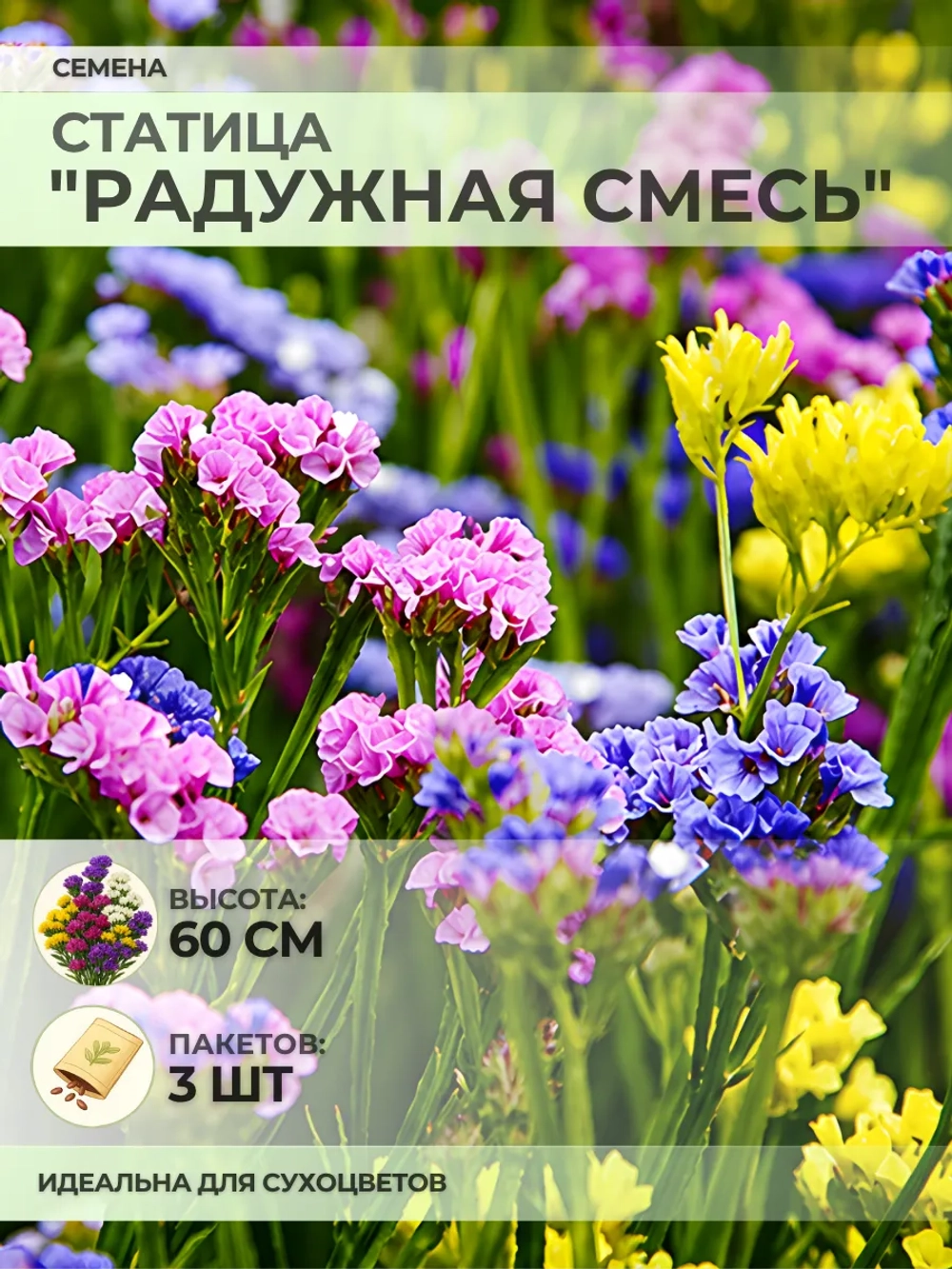 Семена Статицы "Радужная смесь" - 3 пакета