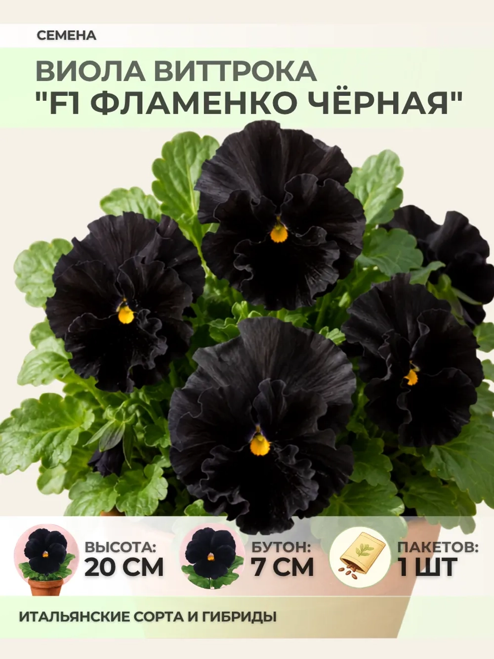 Семена Виолы Виттрока "F1 Фламенко Чёрная" - 1 пакет