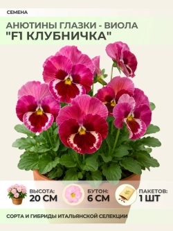 Семена Анютины глазки "F1 Клубничка" - 1 пакет