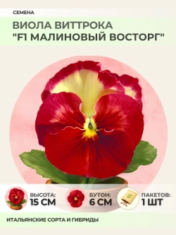 Семена Виолы Виттрока "F1 Малиновый восторг" - 1 пакет