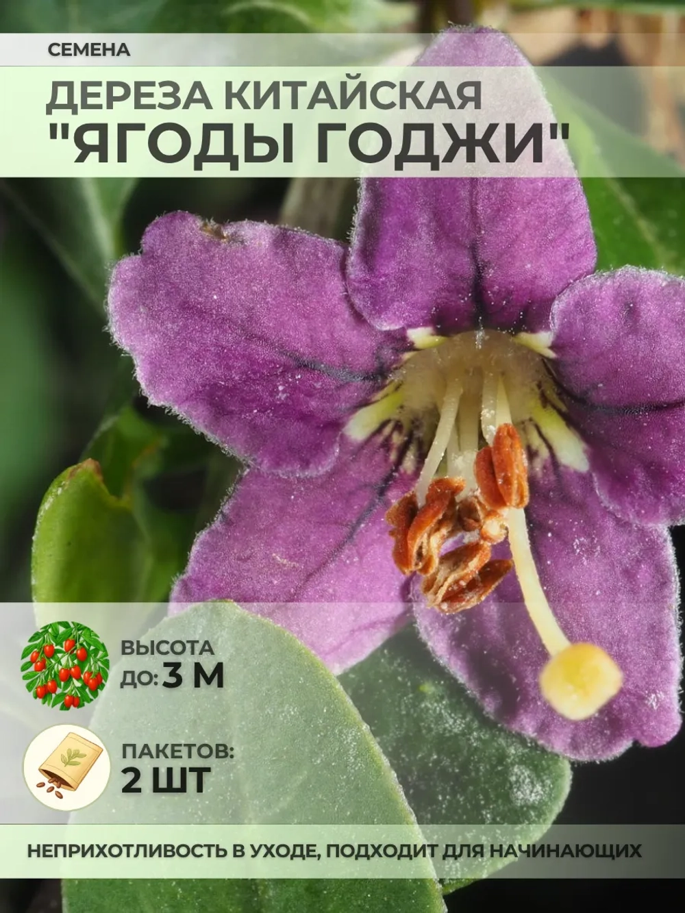 Семена Дереза Китайская "Ягоды Годжи" - 2 пакета