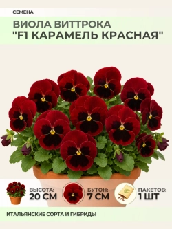 Семена Виолы Виттрока "F1 Карамель Красная" - 1 пакет