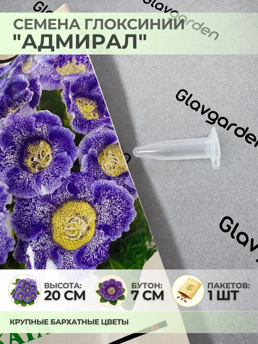 Семена Глоксинии прекрасной "Адмирал" - 1 пакет