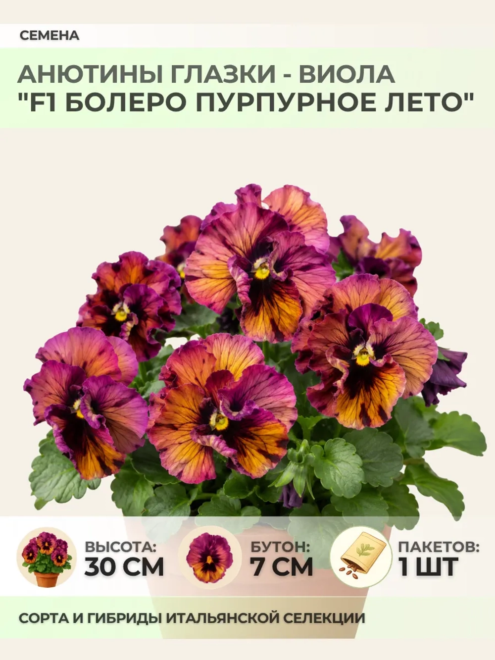Семена Анютины глазки "F1 Болеро Пурпурное лето" - 1 пакет