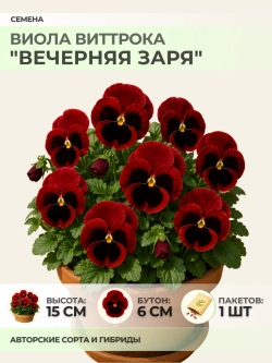 Семена Виолы Виттрока "Вечерняя Заря" - 1 пакет