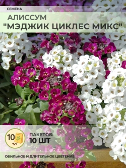 Семена Алиссум "Мэджик Циклес микс" - 10 пакетов