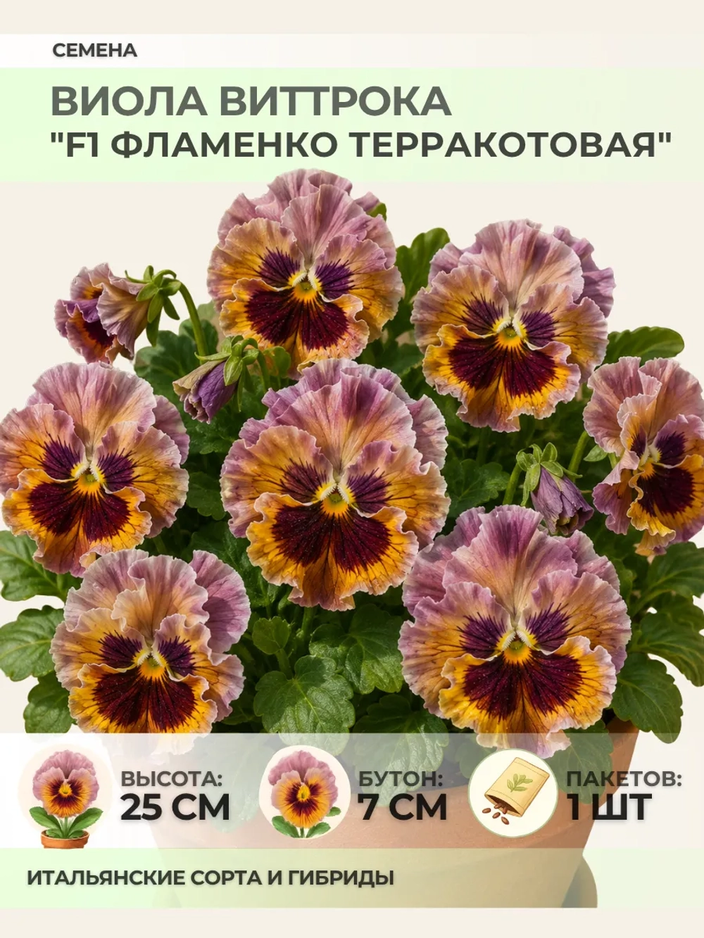 Семена Виолы Виттрока "F1 Фламенко Терракотовая" - 1 пакет