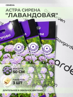 Семена Астры "Сирена "Лавандовая" - 3 пакета