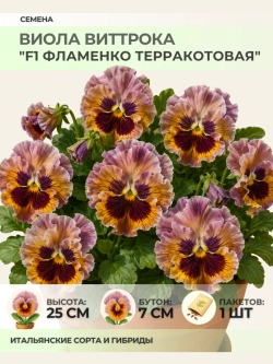 Семена Виолы Виттрока "F1 Фламенко Терракотовая" - 1 пакет