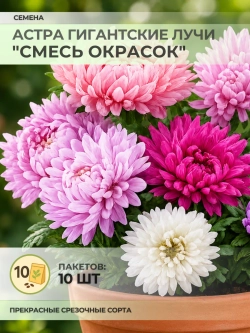 Семена Астра Гигантские лучи "Смесь окрасок" - 10 пакетов