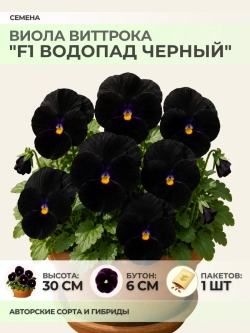 Семена Виолы "F1 Водопад черный" - 1 пакет