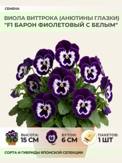Семена Виолы "F1 Барон Фиолетовый с белым" - 1 пакет