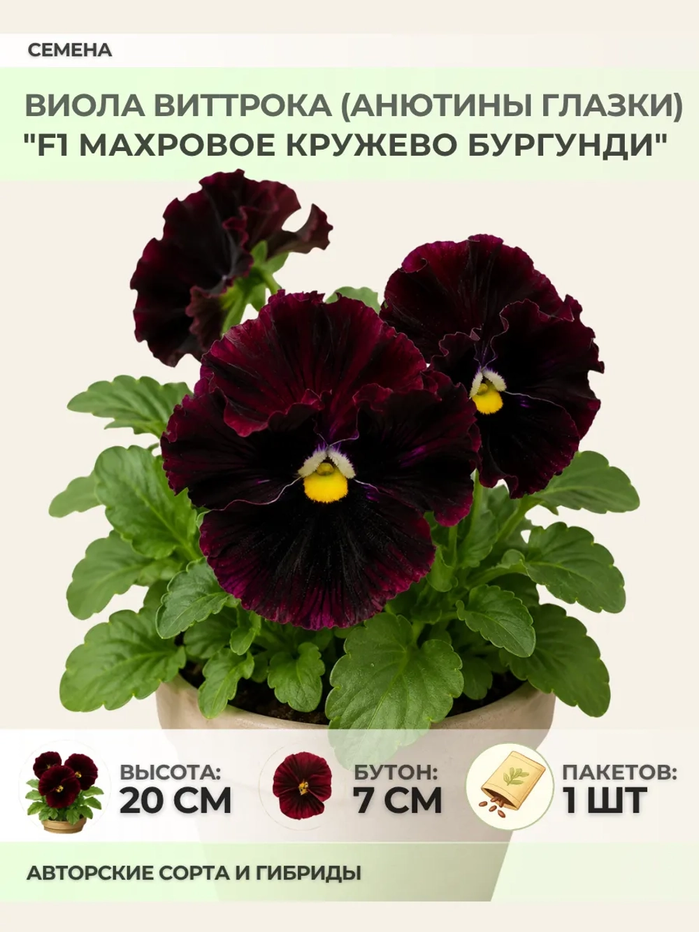 Семена Виолы "F1 Махровое кружево Бургунди" - 1 пакет