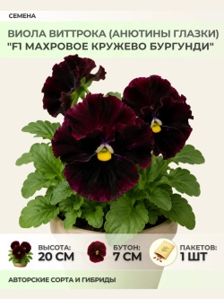 Семена Виолы "F1 Махровое кружево Бургунди" - 1 пакет