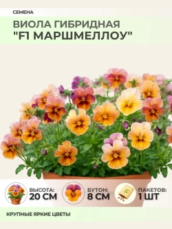 Семена Виолы гибридной "F1 Маршмеллоу" - 1 пакет