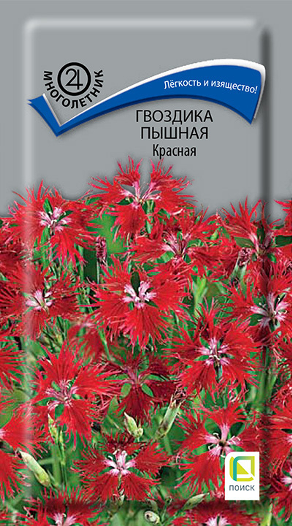 Гвоздика пышная Красная