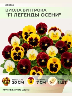 Семена Виолы Виттрока "F1 Легенды Осени" - 1 пакет