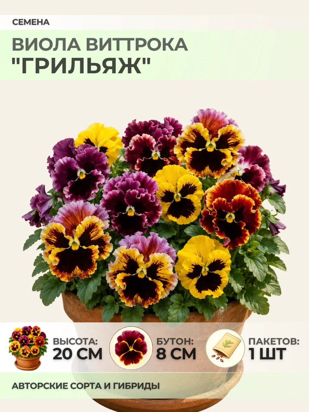 Семена Виолы Виттрока "Грильяж" - 1 пакет