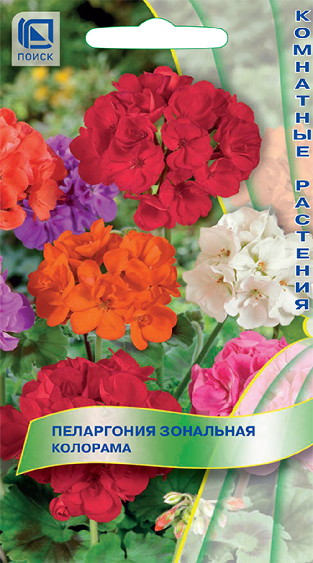 Пеларгония зональная Колорама