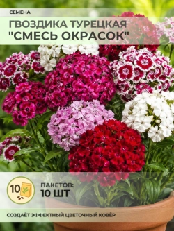 Семена Гвоздика Турецкая "Смесь окрасок" - 10 пакетов