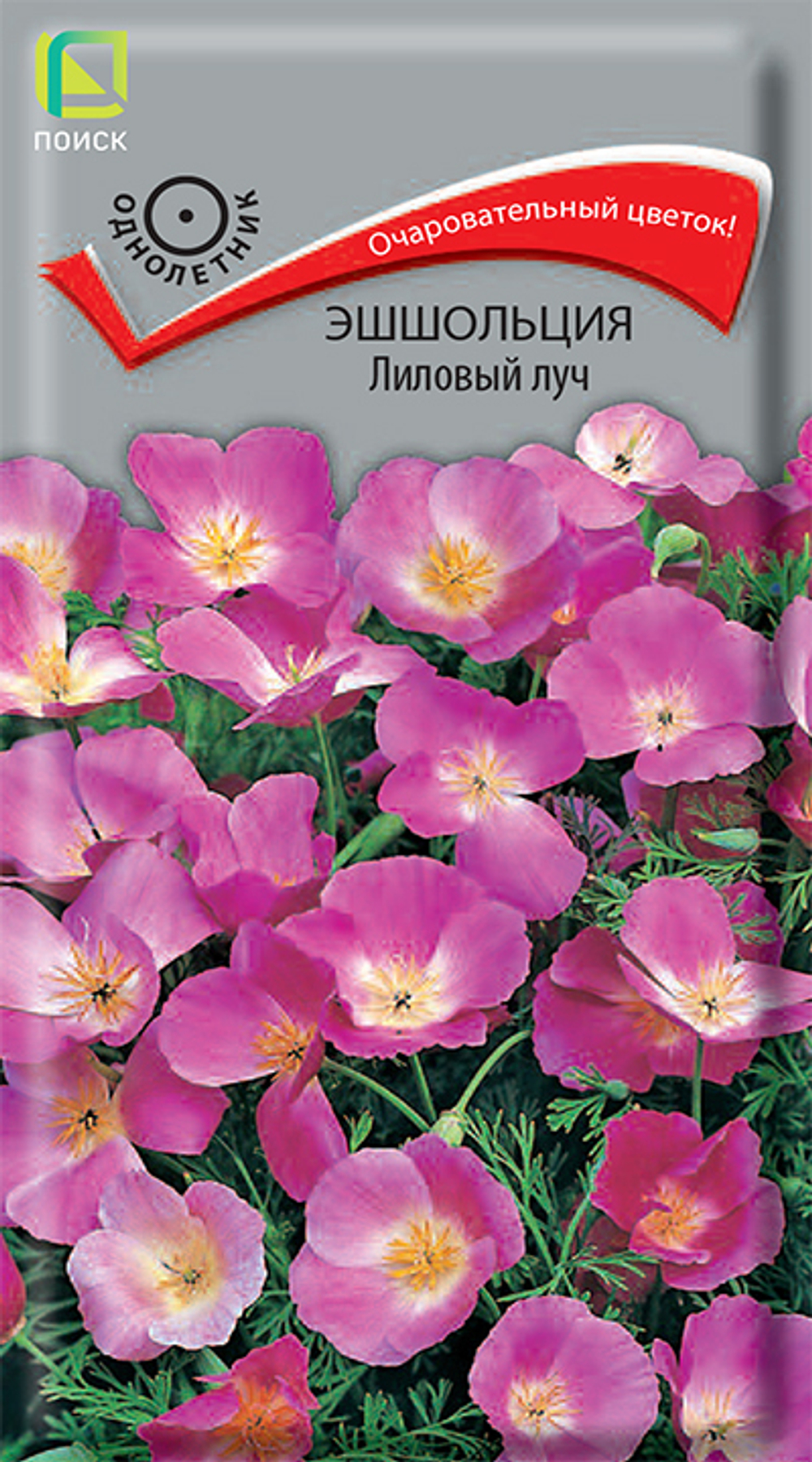 Эшшольция Лиловый луч