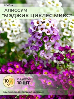 Семена Алиссум "Мэджик Циклес микс" - 10 пакетов