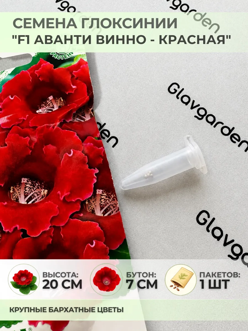 Семена Глоксинии прекрасной "Аванти винно-красная" - 1 пакет